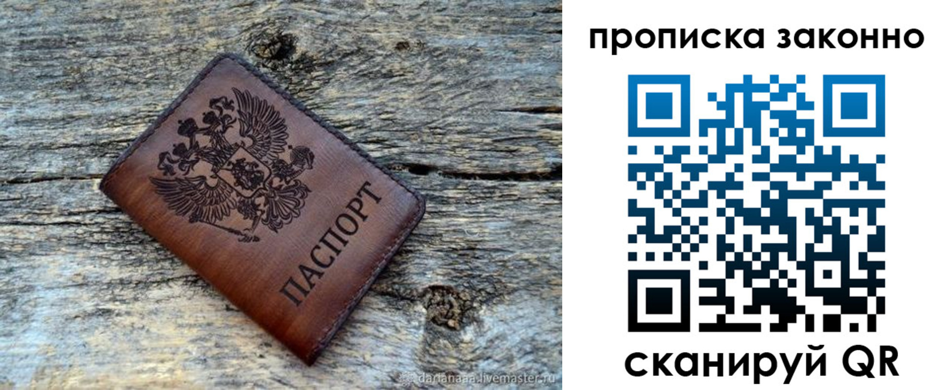 прописка для школы в Александровске